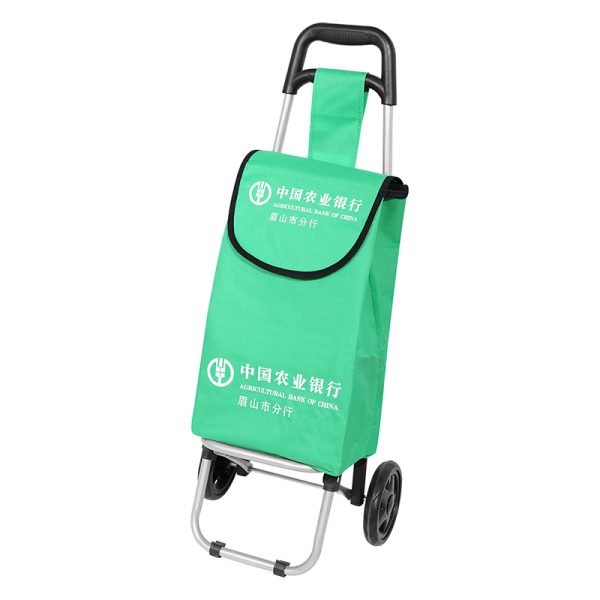 Shopping Trolley 