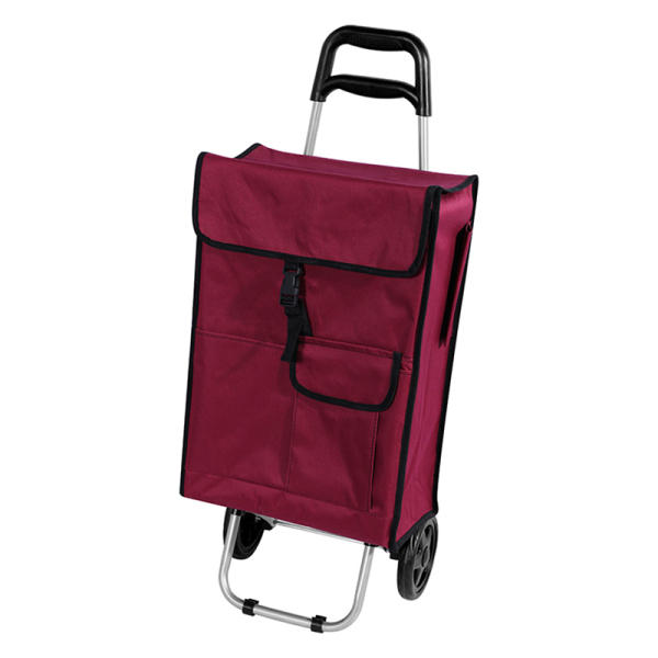 Shopping Trolley 