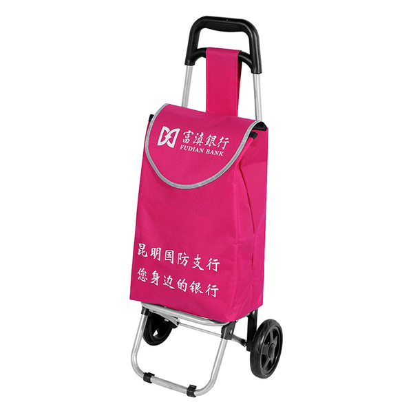 Shopping Trolley 