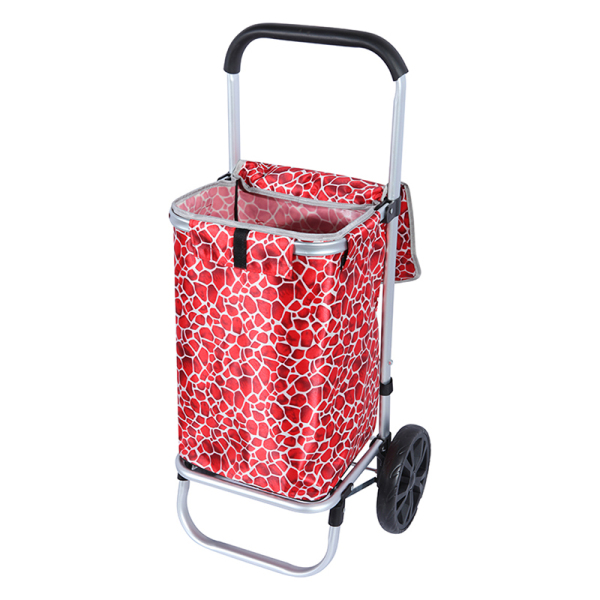 Shopping Trolley 