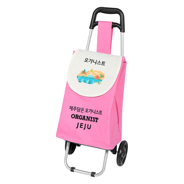 Shopping Trolley 
