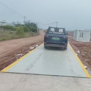 简易地上衡 