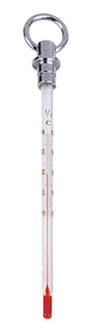 thermometerT1