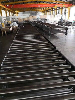 Palletizing conveyor