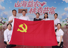党建结硕果 红心映乡村