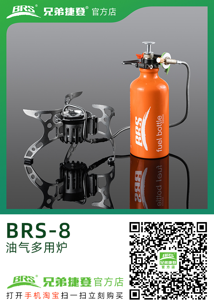 油/气多用炉 BRS-8 