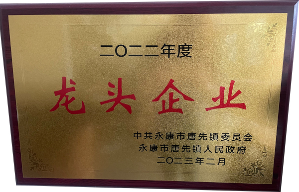 2022年度龙头企业
