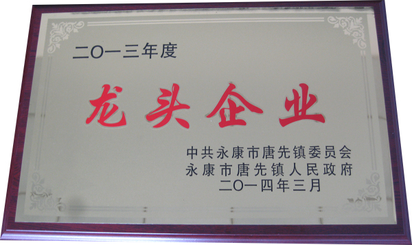 2013年度龙头企业