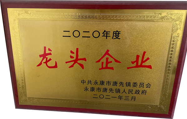 2020年度龙头企业