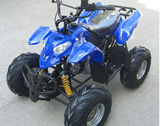 SHATV-010