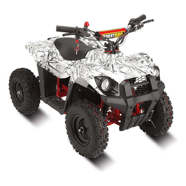 Electric ATV/MOTO LMEATV-500K