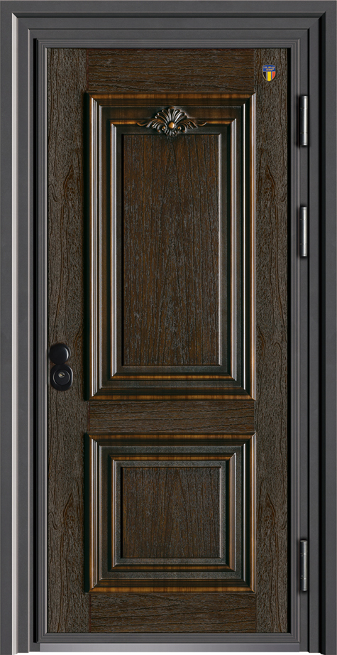 Security Door DLY-1210 Dishi