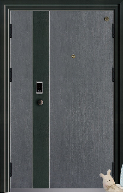 Security Door YM-9063