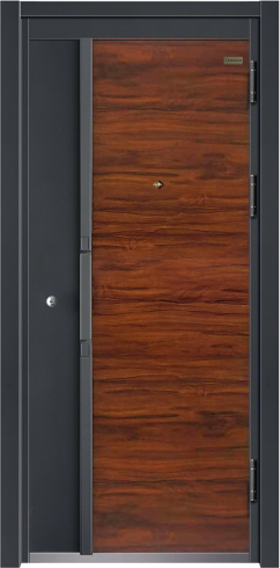 Security Door YM-9030