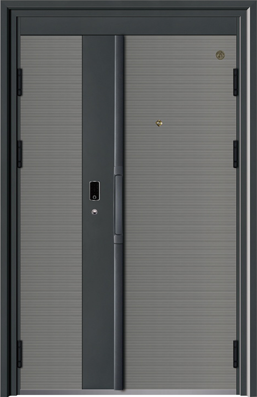 Security Door YM-9077