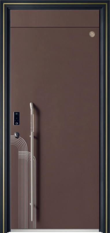 Security Door YM-9100