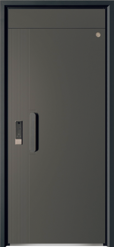 Security Door YM-9110