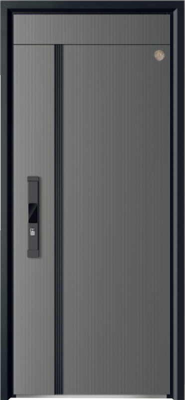 Security Door YM-9109