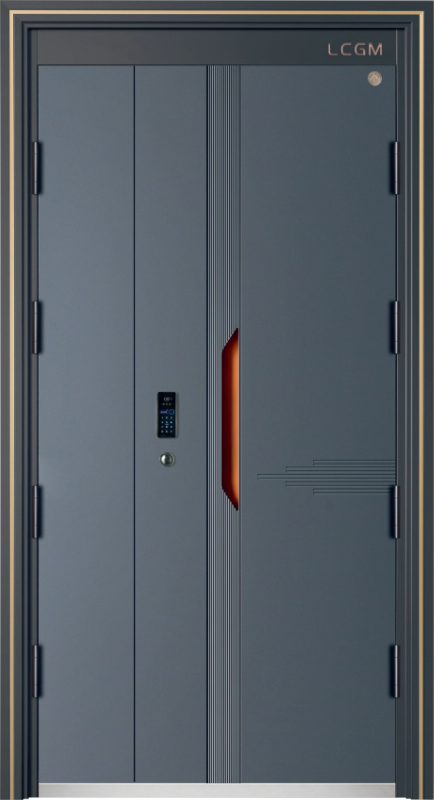 Security Door YM-9106