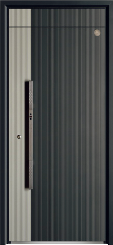 Security Door YM-9111