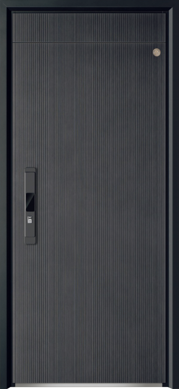 Security Door YM-9112