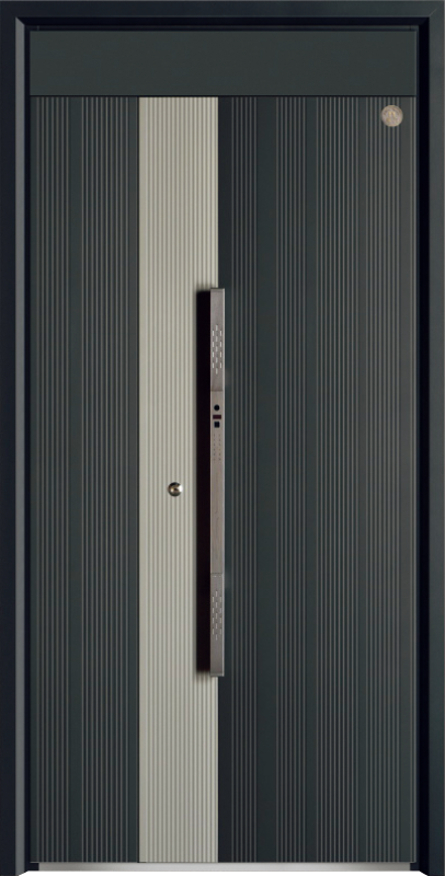 Security Door YM-9111