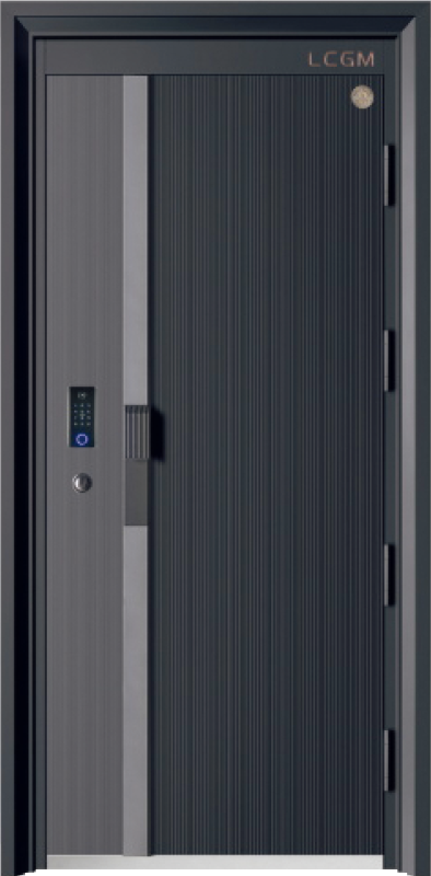 Security Door YM-9093