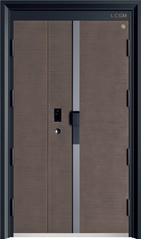 Security Door YM-9091