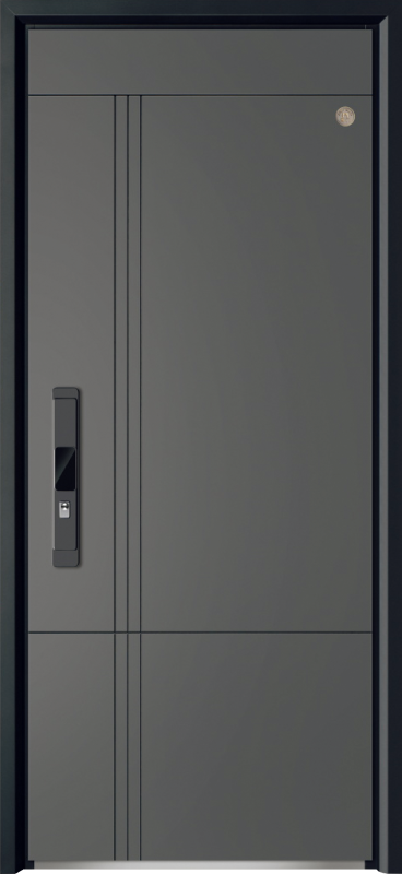 Security Door YM-9113