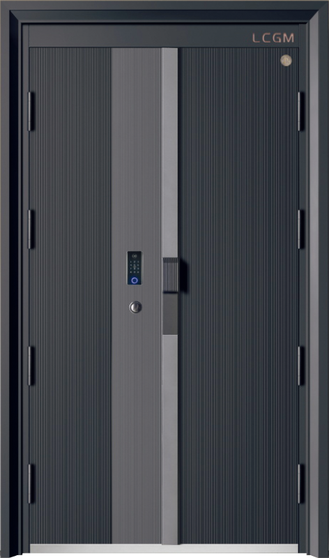 Security Door YM-9093