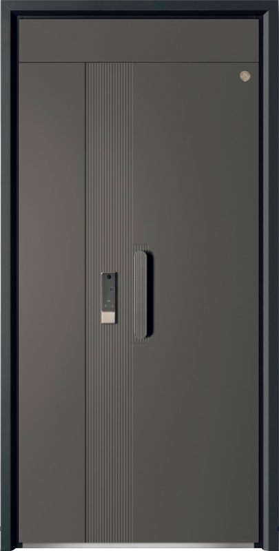 Security Door YM-9110