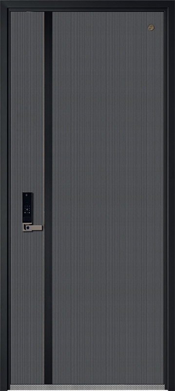 Security Door YM-9115