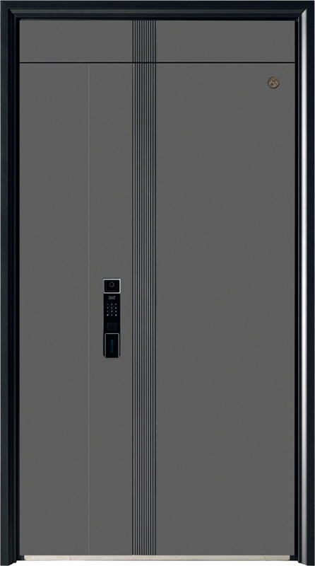Security Door YM-9117