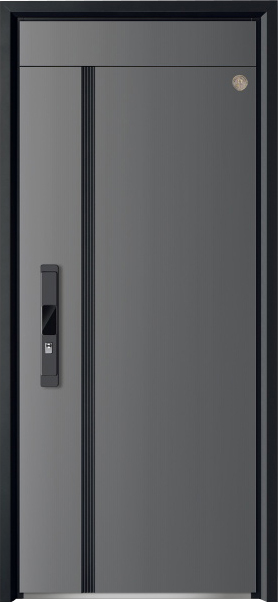 Security Door YM-9109