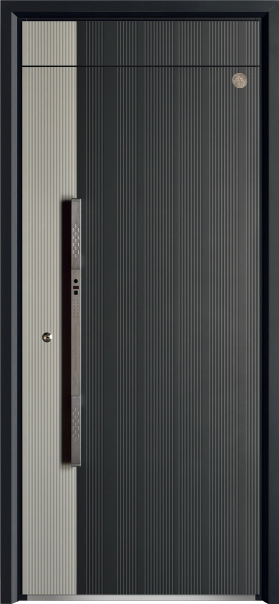 Security Door YM-9111