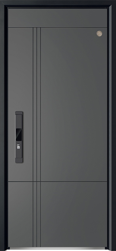 Security Door YM-9113