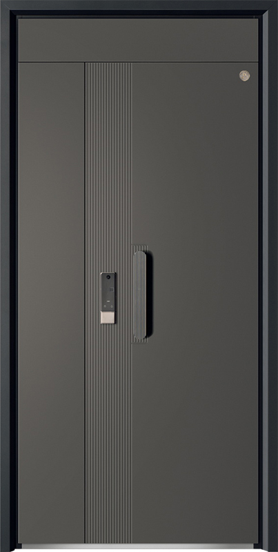 Security Door YM-9110