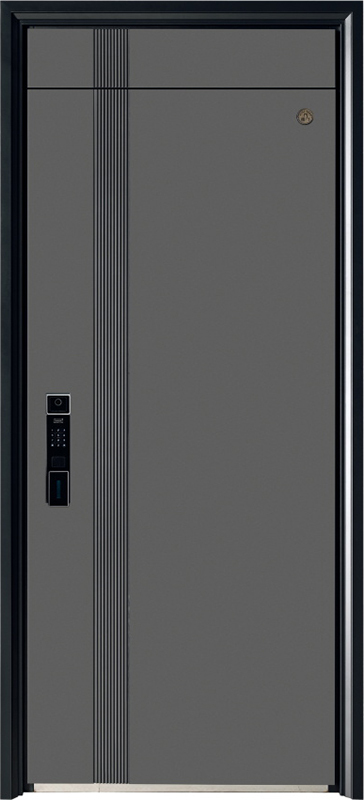 Security Door YM-9117