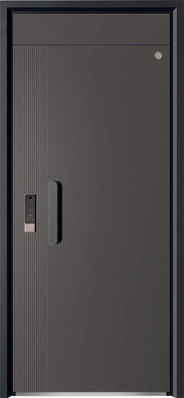 Security Door YM-9110