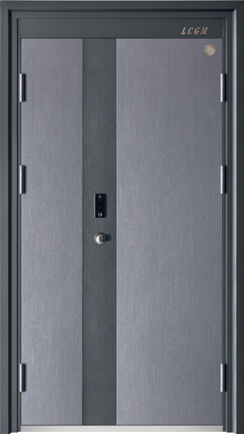 Security Door YM-9063