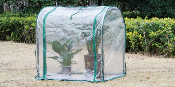 迷你温室有什么好处？