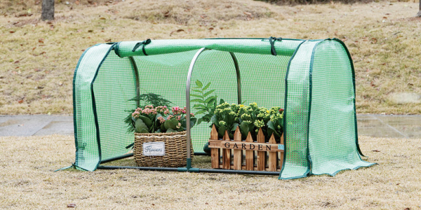 什么是迷你温室取暖器？