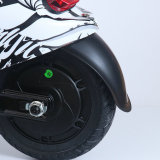 Electric Vehicle