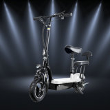 Electric Vehicle