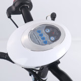 Electric Vehicle