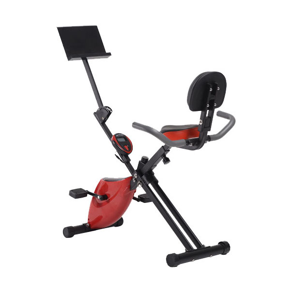 Exercise Bike CF-917EL-1