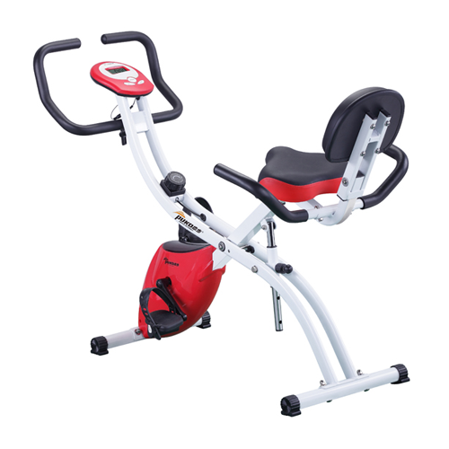 Exercise Bike CF-917FT