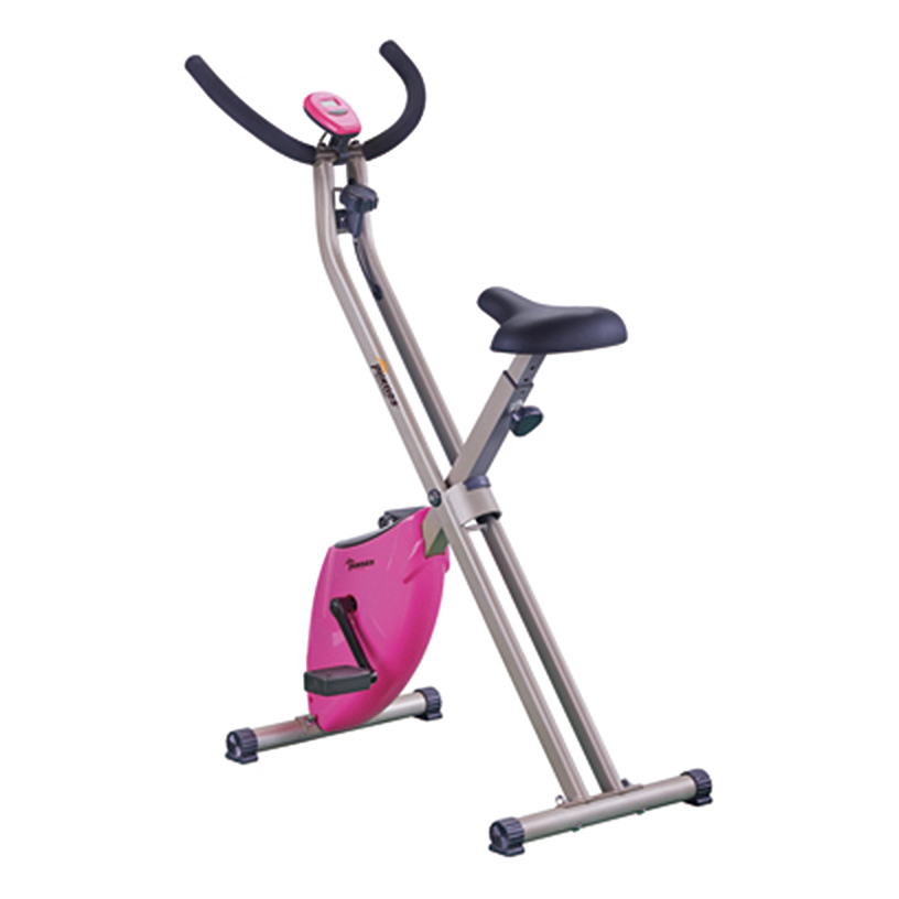 Exercise Bike CF-917ES1