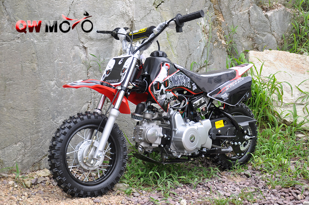 Dirt Bike-50CC QWDB-03A Triangle Swing
