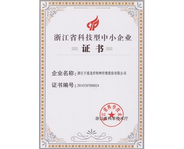 千禧龙省科技型中心企业证书